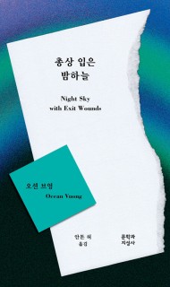 총상 입은 밤하늘 (Nigh…